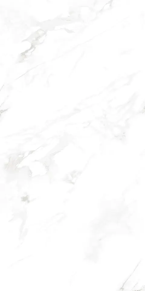 SMOKE WHITE SILK view 4